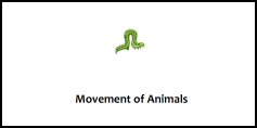 Movement of animals